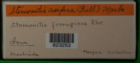 Image Associated With the Occurence
